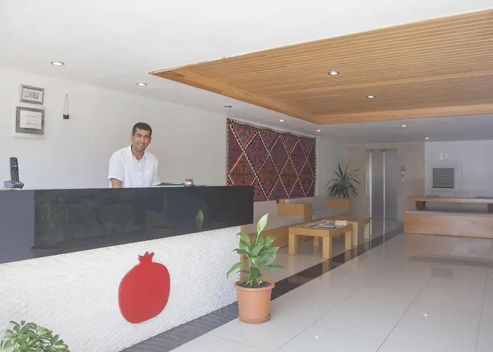 Ξενοδοχείο Narr Κας